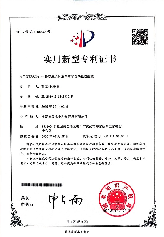 宁夏91免费版视频APP子