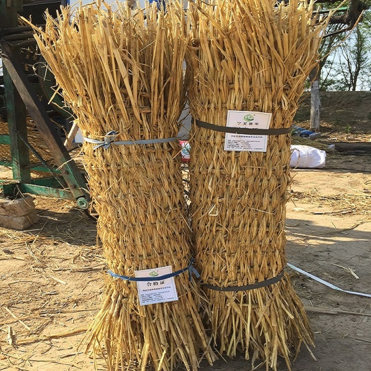 宁夏91免费版视频APP子